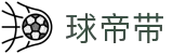 球帝带官网 - 专业足球资讯、数据分析与球迷社区